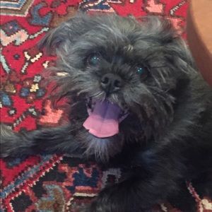 Meet your Posher, Catherine